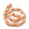 Natural Trochid Shell/Trochus Shell Beads Strands SHEL-B003-02B-2