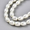 Baking Paint Pearlized Glass Pearl Bead Strands HY-T002-01A-02-2