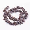 Natural Spiral Shell Beads Strands BSHE-L036-31-3