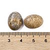 Natural Picture Jasper Cabochons G-B085-06C-03-3