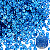6000Pcs Plastic Paillette Beads PVC-PA0001-01A-1