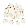 Natural Agate Shell Shaped Pendants LS-G-U025-06G-1