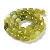 Natural Lemon Jade Beads Strands X-G-P497-01D-04-3