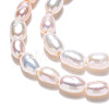 Natural Cultured Freshwater Pearl Beads Strands PEAR-N012-02K-5