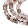 Natural Botswana Agate Beads Strands G-G143-A02-01-4