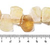 Natural Citrine Beads Strands G-P528-K07-01-4