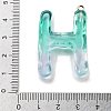 Resin Pendant FIND-Q107-01H-02-3