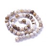 Natural America Petrified Wood Beads Strands G-P430-08-C-1