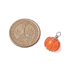 Opaque Resin Vegetable Pendants X1-PALLOY-JF02766-01-2