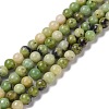 Natural Serpentine Bead Strands G-N166-6-1-2