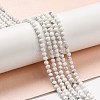 Natural Howlite Beads Strands G-E608-A01-B-5