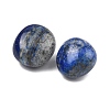 Natural Lapis Lazuli Beads G-G348-01B-06-2