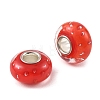 Lampwork & Brass Core European Beads LAMP-P019-01P-24-2