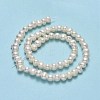 Natural Cultured Freshwater Pearl Beads Strands PEAR-F018-17B-01-3