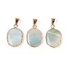 Natural Flower Amazonite Pendants G-N349-04D-G-1