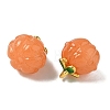 Glass Charms GLAA-P072-04G-4