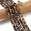Natural Banded Agate Beads Strands G-D344-A34-04-1