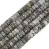 Natural Labradorite Beads Strands G-L654-I05-01-2