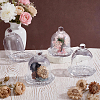 Glass Cake Tray with Dome AJEW-WH0481-557-4