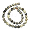 Natural Picasso Jasper Beads Strands G-I376-D64-01-2