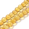Natural Amber Beads Strands G-K308-C02-6mm-3