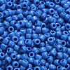 TOHO 6/0 Round Beads X-SEED-TR06-0043D-4