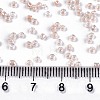 6/0 Glass Seed Beads SEED-A015-4mm-2221-4