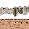 Natural Labradorite Beads Strands GG-CBADF20-A05-4