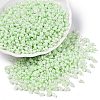 Opaque Colours Luster Glass Seed Beads SEED-T006-02I-3