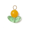 Natural Dyed Malaysia Jade Pendants PALLOY-JF03403-01-2