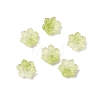 Glass Beads GLAA-D303-04C-1