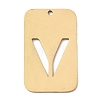304 Stainless Steel Pendants STAS-D200-01V-G-1