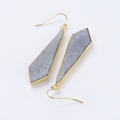 Natural Labradorite Dangle Earrings EJEW-P145-03A-1