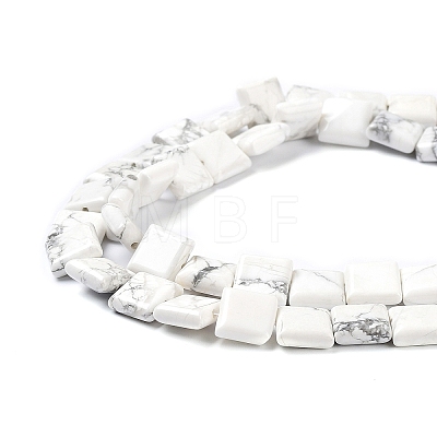 Natural Howlite Beads Strands G-K337-05-1