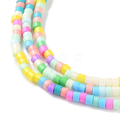 Handmade Czech Lampwork Beads Strands LAMP-L078-008I-1