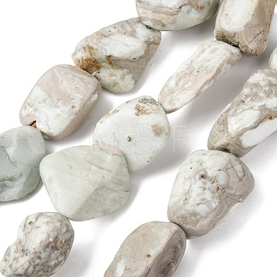 Natural Variscite Beads Strands G-D098-C09-1