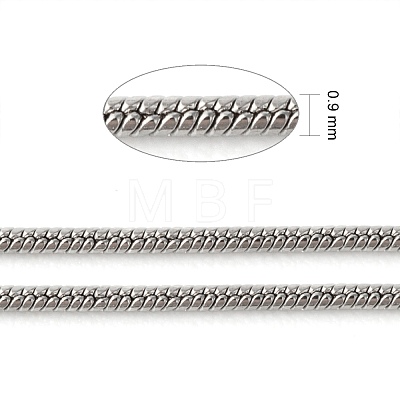 3.28 Feet 304 Stainless Steel Round Snake Chains X-CHS-K001-06-1