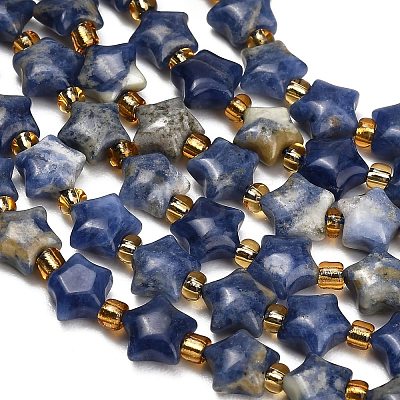 Natural Sodalite Beads Strands G-Z080-A28-8mm-1