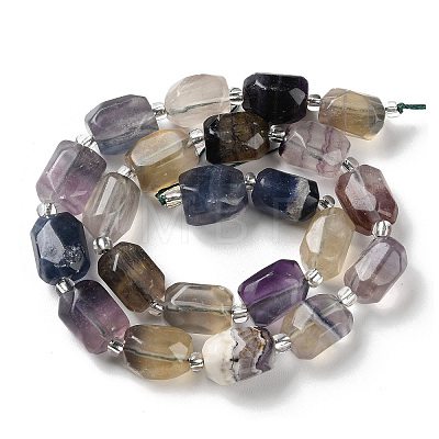 Natural Fluorite Beads Strands G-C105-A03-01-1