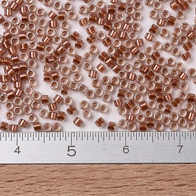 MIYUKI Delica Beads X-SEED-J020-DB1704-1