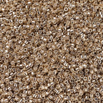 MIYUKI Delica Beads X-SEED-J020-DB0411-1