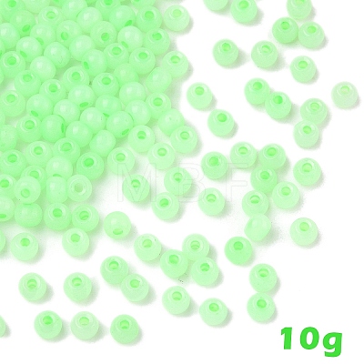 10G Glass Seed Beads SEED-YW0003-03H-1