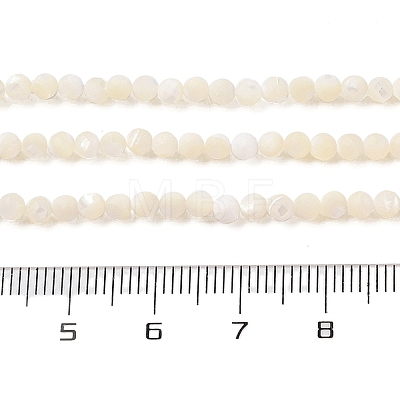 Natural Trochus Shell Beads Strands SHEL-P017-05-1