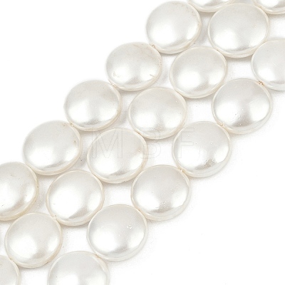 Electroplated Shell Pearl Beads Strands BSHE-G027-13D-1