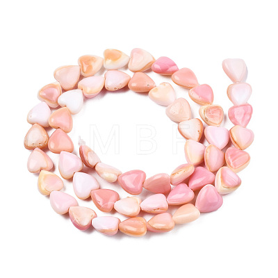 Natural Shell Beads Strands SSHEL-N032-45-1