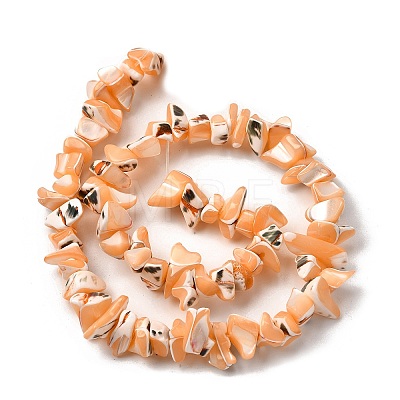 Natural Trochid Shell/Trochus Shell Beads Strands SHEL-B003-02B-1