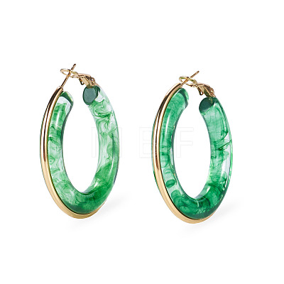 1 Pair 304 Stainless Steel Hoop Earrings EJEW-TA0001-89A-1