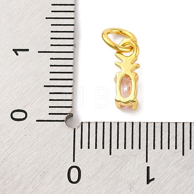 Rack Plating Brass Micro Pave Cubic Zirconia Charms KK-F881-03G-06-1