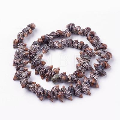 Natural Spiral Shell Beads Strands BSHE-L036-31-1