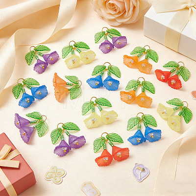 50Pcs 5 Colors Transparent Acrylic Pendants PALLOY-SZ00070-1